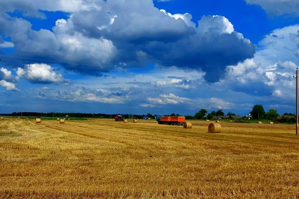 Уборочная кампания - кропотливый период для наших хлеборобов. Уборочная кампания - кропотливый период для наших хлеборобов.